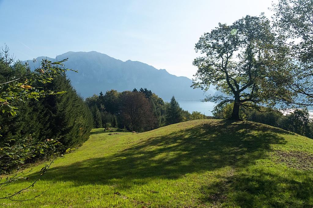 Wanderung am Edelkastanienweg