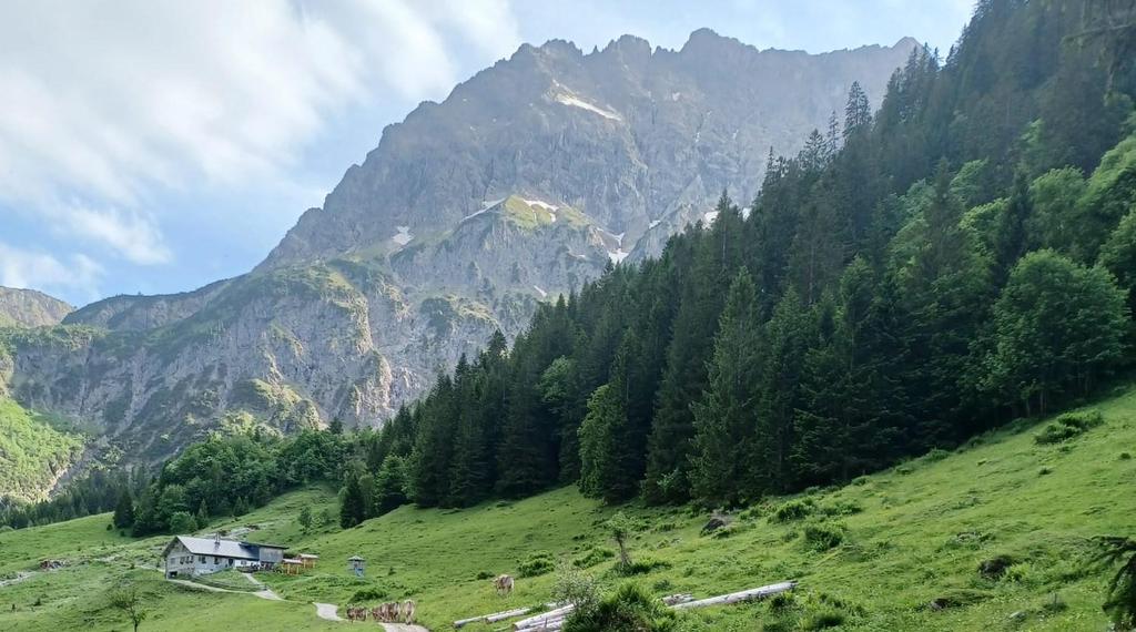 Bernhards Gemstelalp Mittelberg