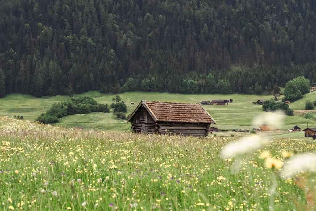TVB Natur Sommer 46.jpg