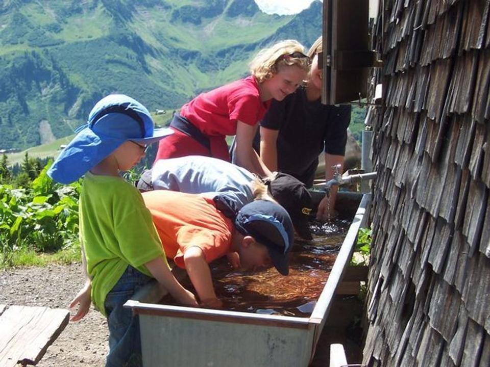 Bauernhof BIO-Ferienbauernhof Greber