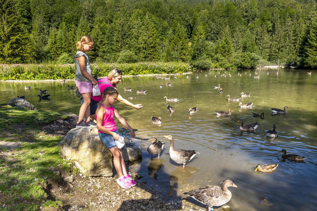Familien-Highlight im Almtal