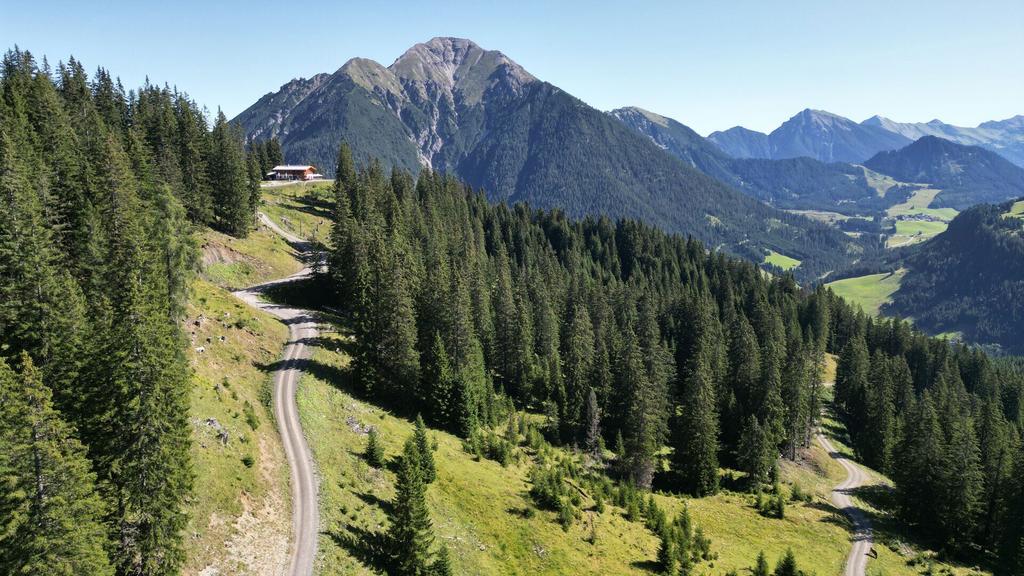 ZurEhenbichlerAlm.jpg