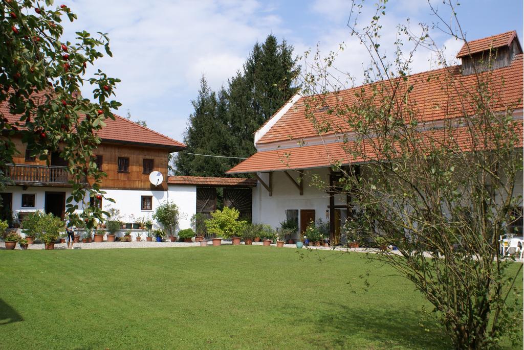 Hof Seyringer Gut