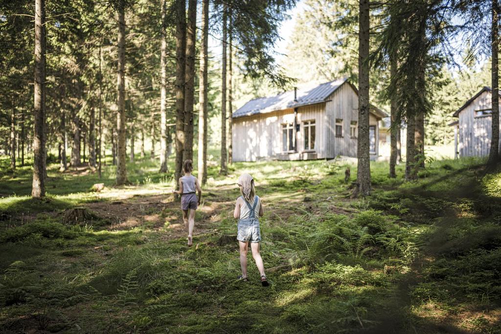 Sommerurlaub im Wald