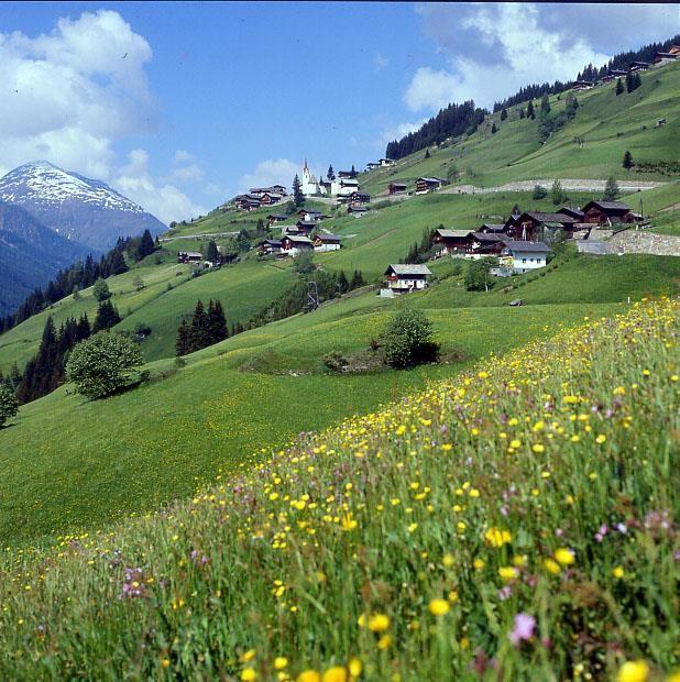 Sommer