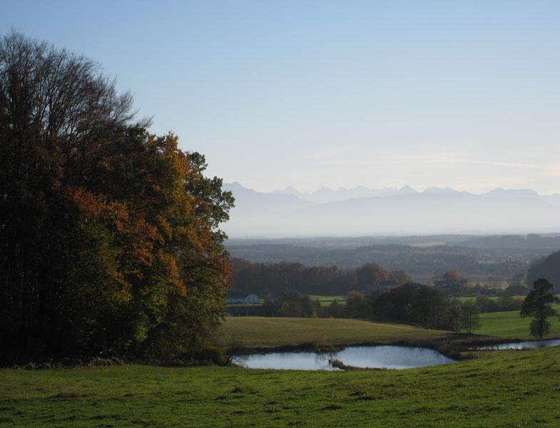 Toteisloch (Teufelsweiher) am Waldweg