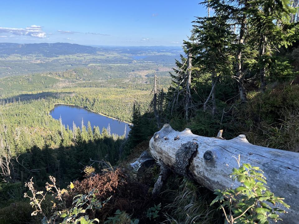 Ausblick Plöckensteinersee