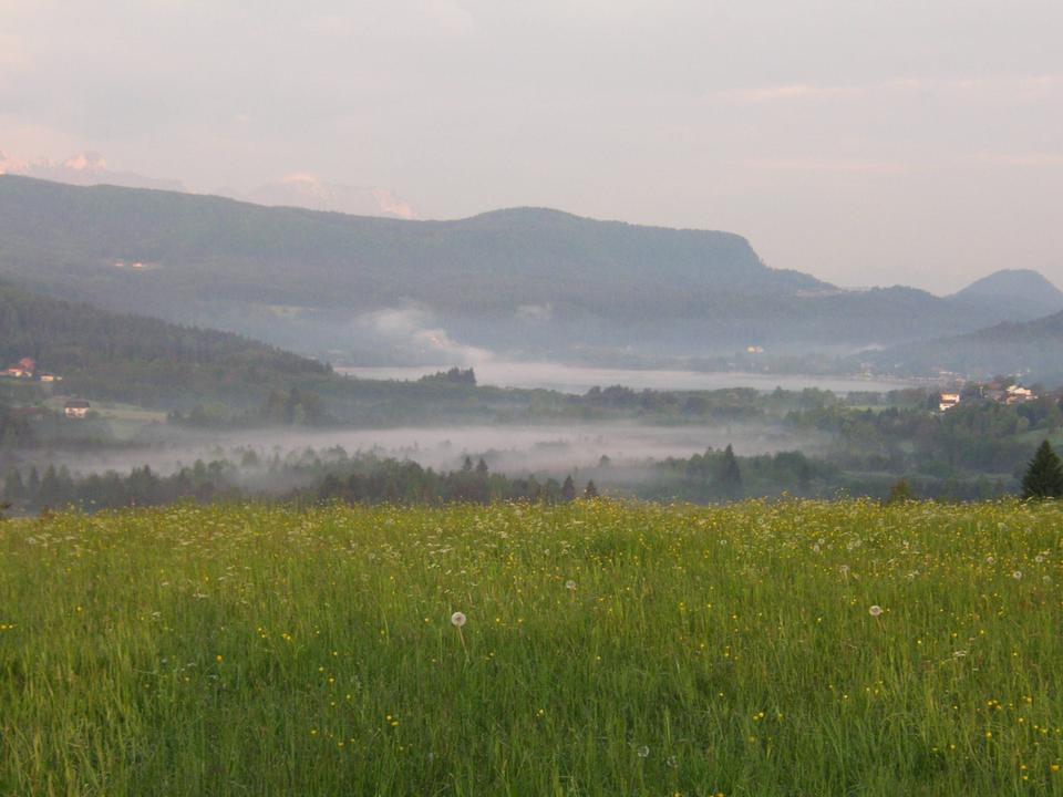 Moorgebiet
