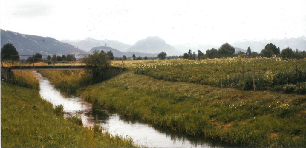 Neunerkanal Lustenau © Albert Hämmerle