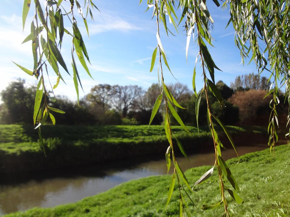 Leithaauen