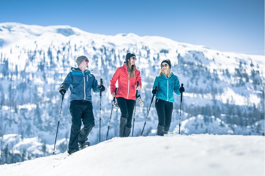 Winterwanderweg Südwiener Hütte