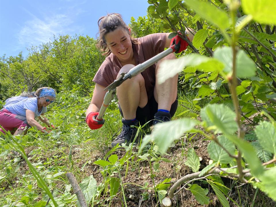 Freiwilligenaktion Natur bewusst erleben
