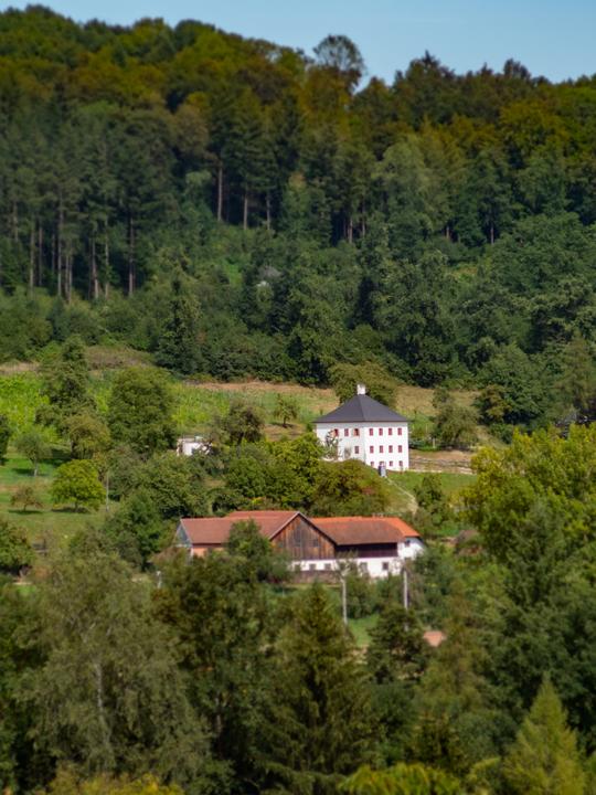 Das Trattnachtaler Weinhaus