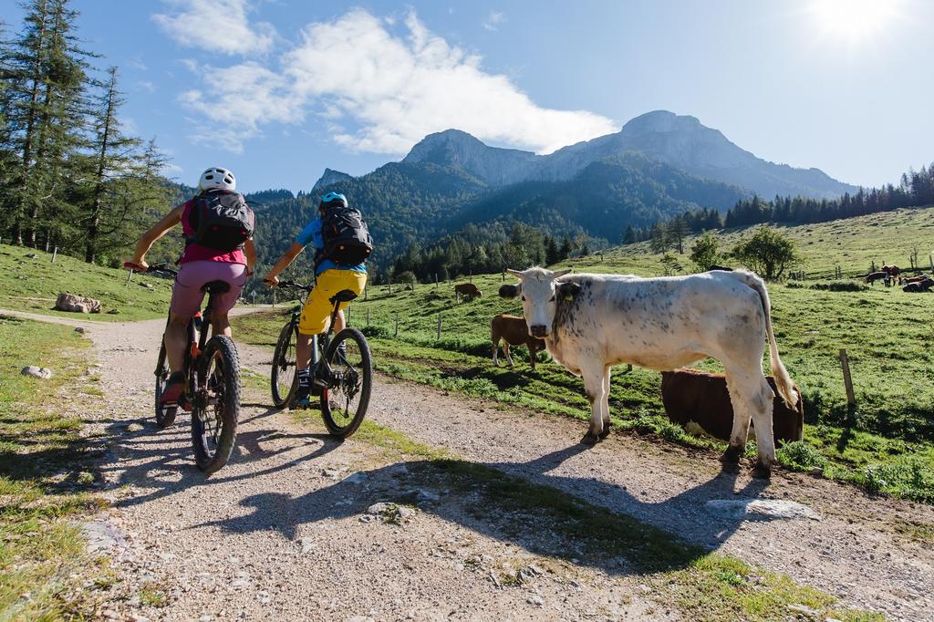 E-MTB Salzkammergut