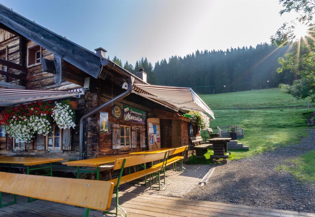 Moosalm im Sommer