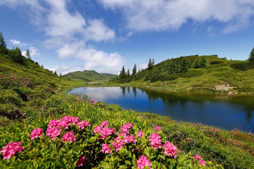 Trögseen