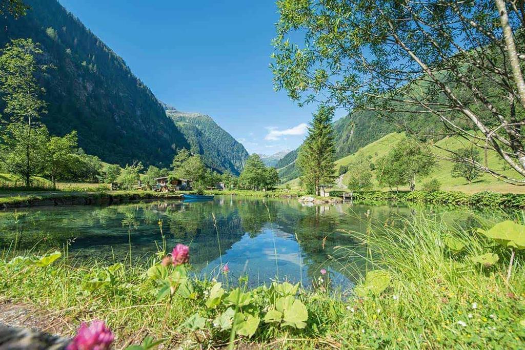 teich
