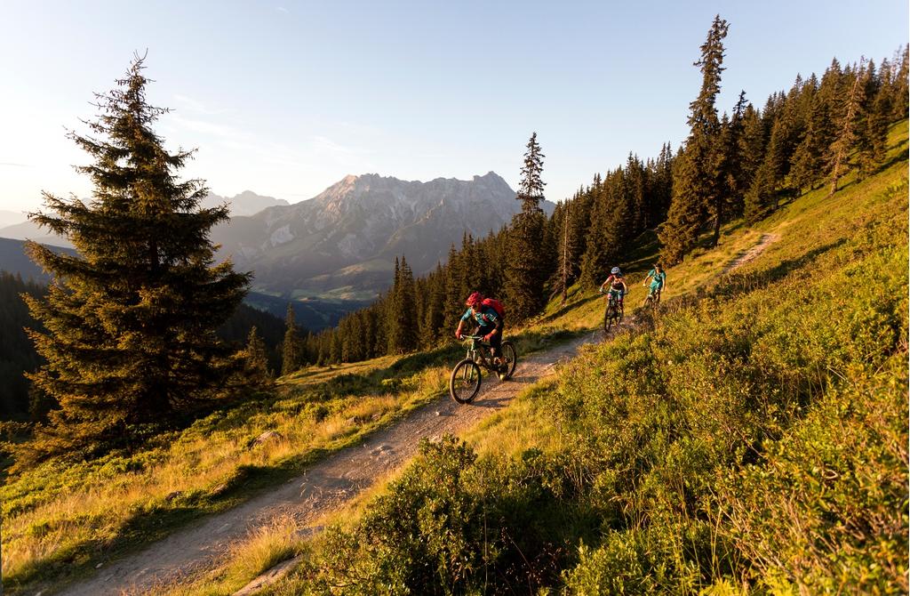 Schönleiten Trail