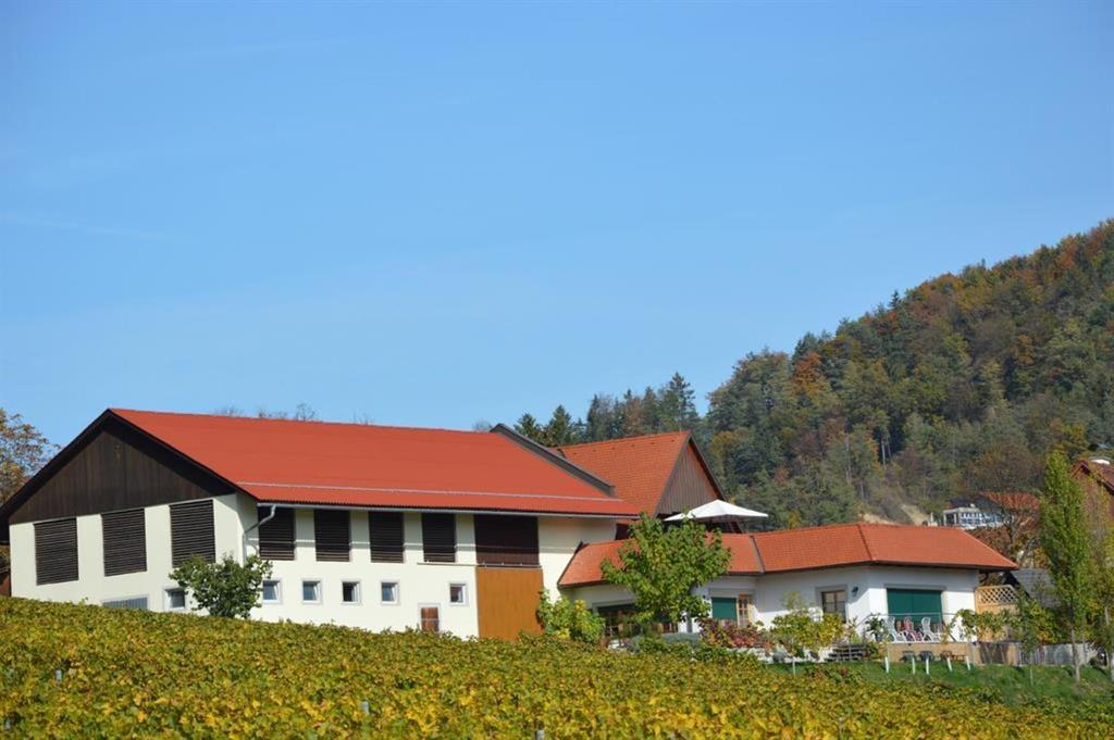 Auszeithof Weingut Pronegg Außenansicht
