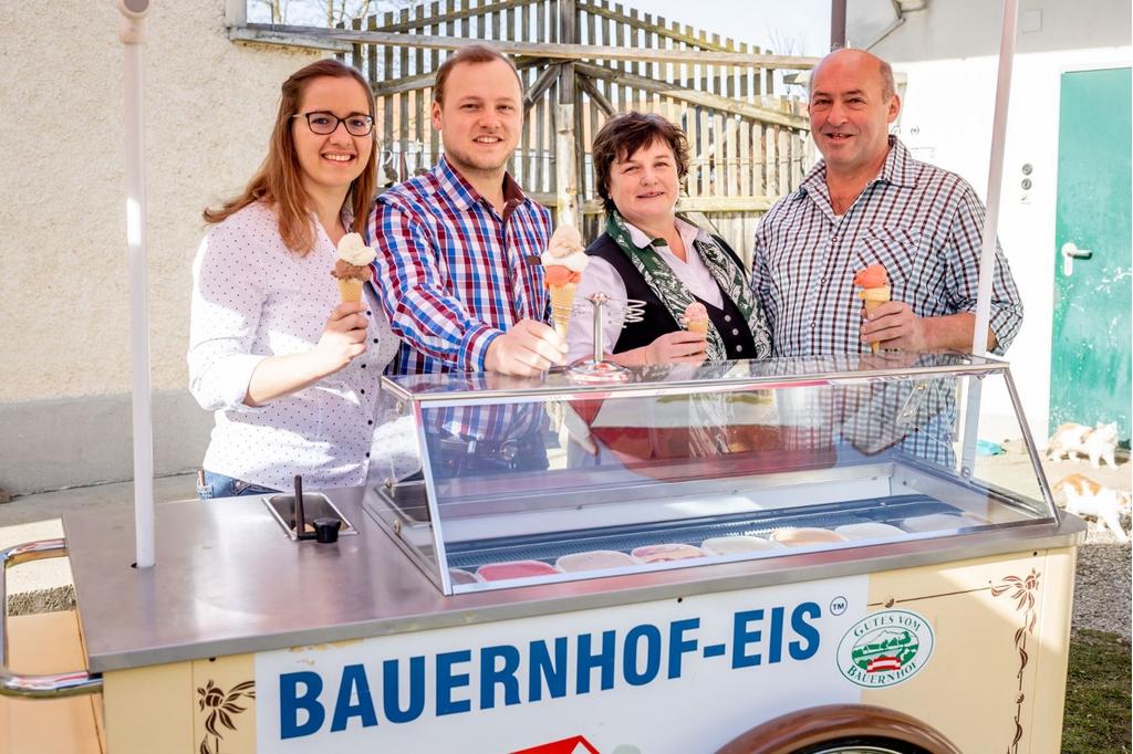Bauernhofeis Kern