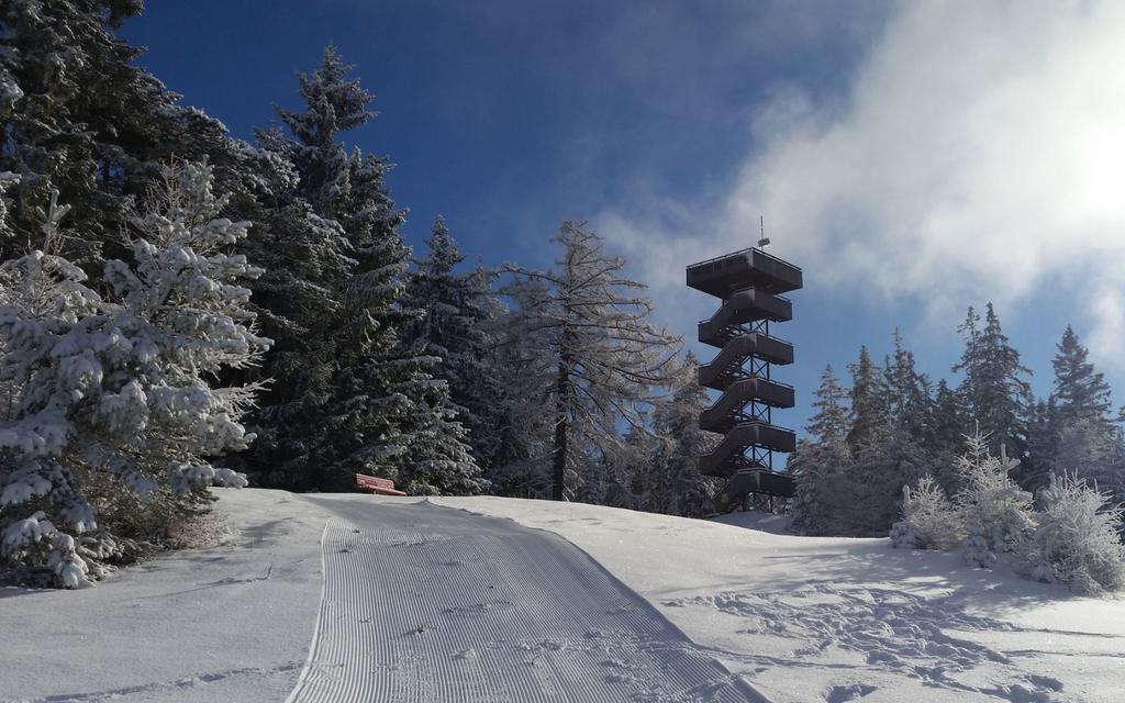 Winter Turm Grünberg.jpg