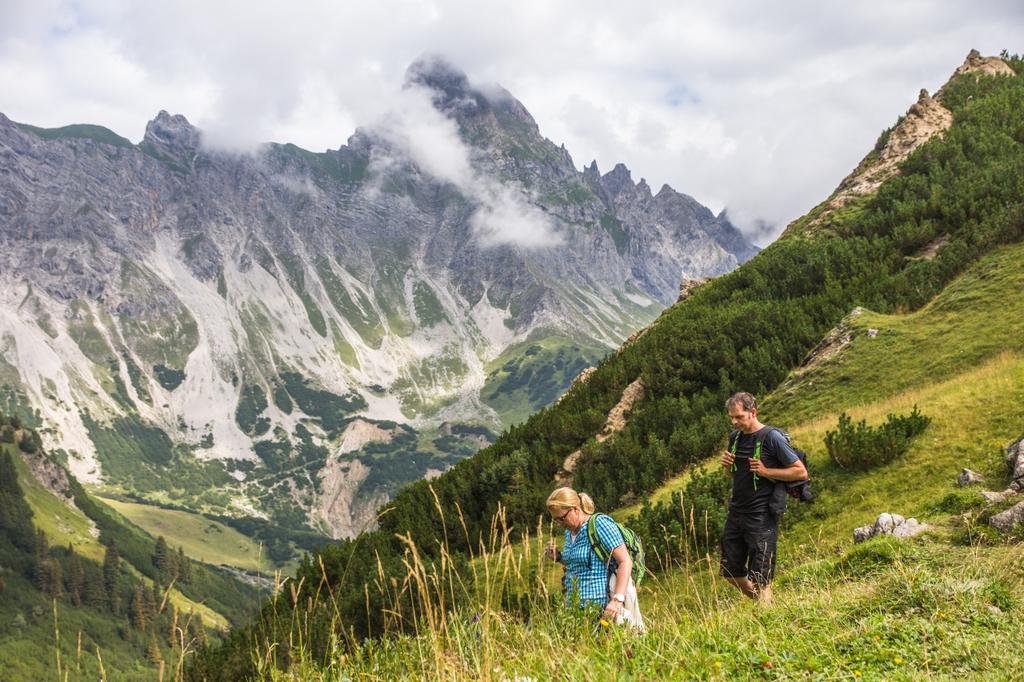 Blick auf Zimba