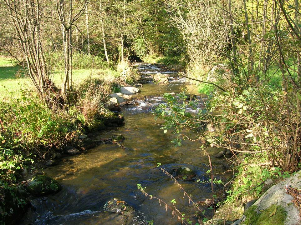 Herzogsdorf-Neußerling (H7)2005_10_24 141.jpg