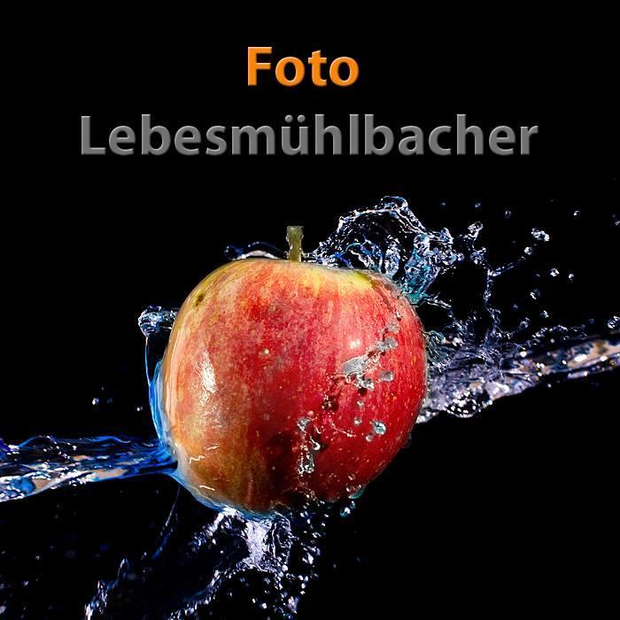 Foto Lebesmühlbacher