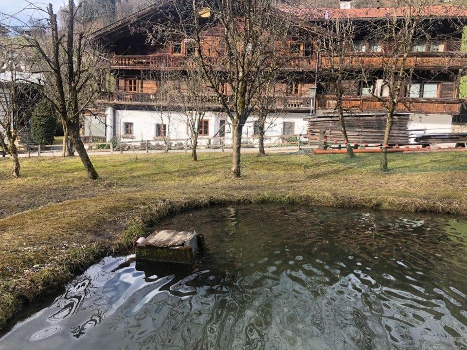 Fischteich beim Obergruben in Mehrn bei Brixlegg