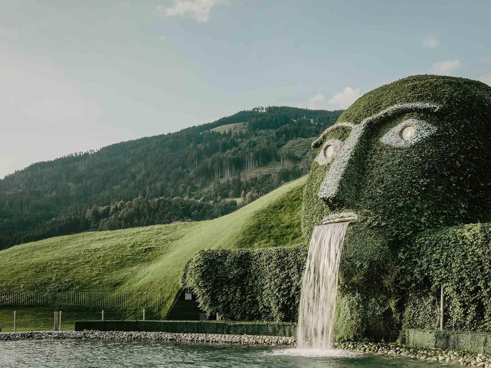 Riese im Sommer