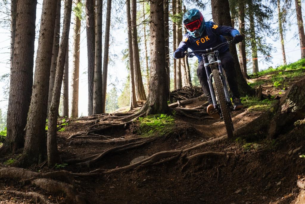 Rooty Trail