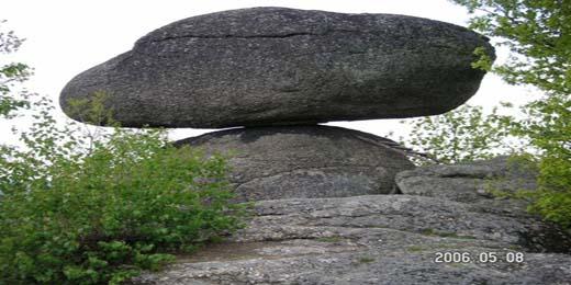 schwammerling