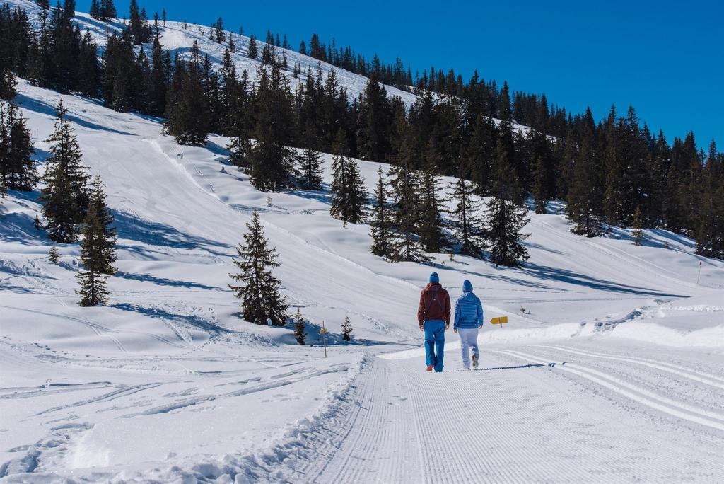 Winterwanderweg