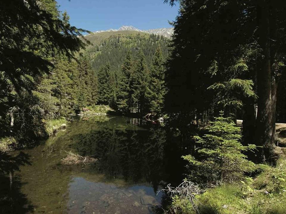 Waldsee-St.-Sigmund.jpg