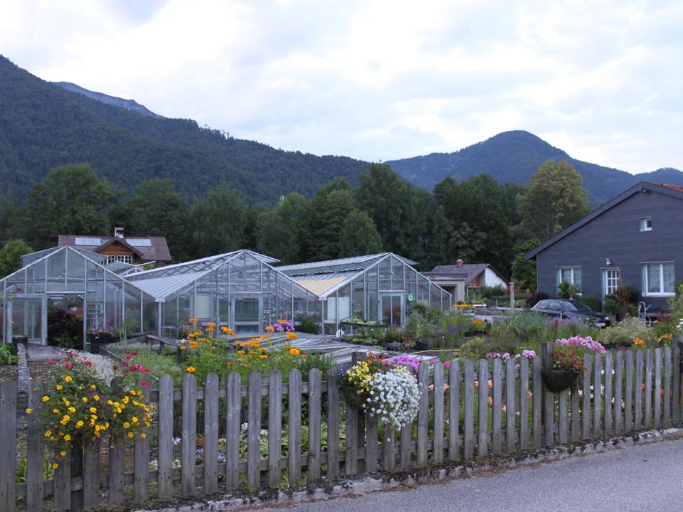 Gärtnerei Pfandl