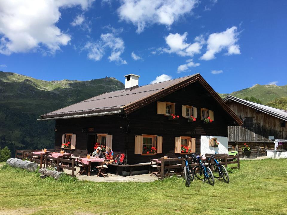 Poltnalm_Navis (14).JPG