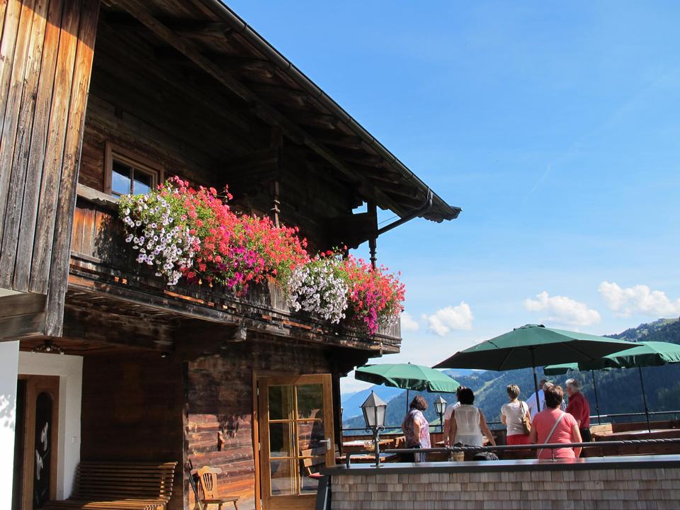 Loya Stub'n Sommer