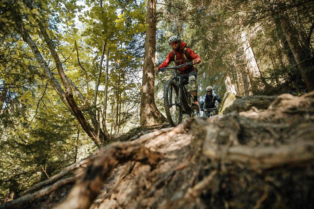 Nock Lake Trails
