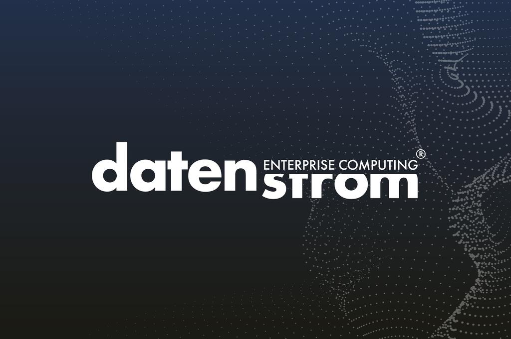 Datenstrom Logo