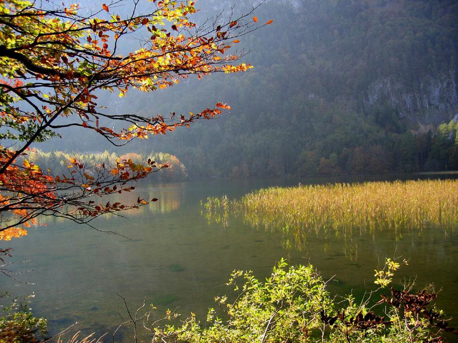 Laudachsee_mit_Herbststimmung.jpeg