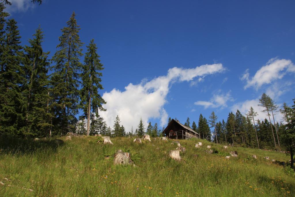 Rossmoosalm