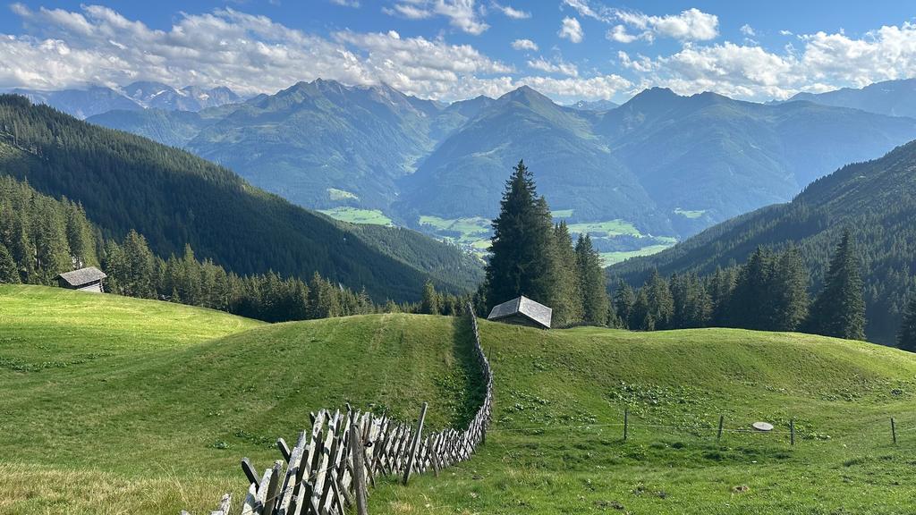 Bei einer guten Jause das Panorama genießen