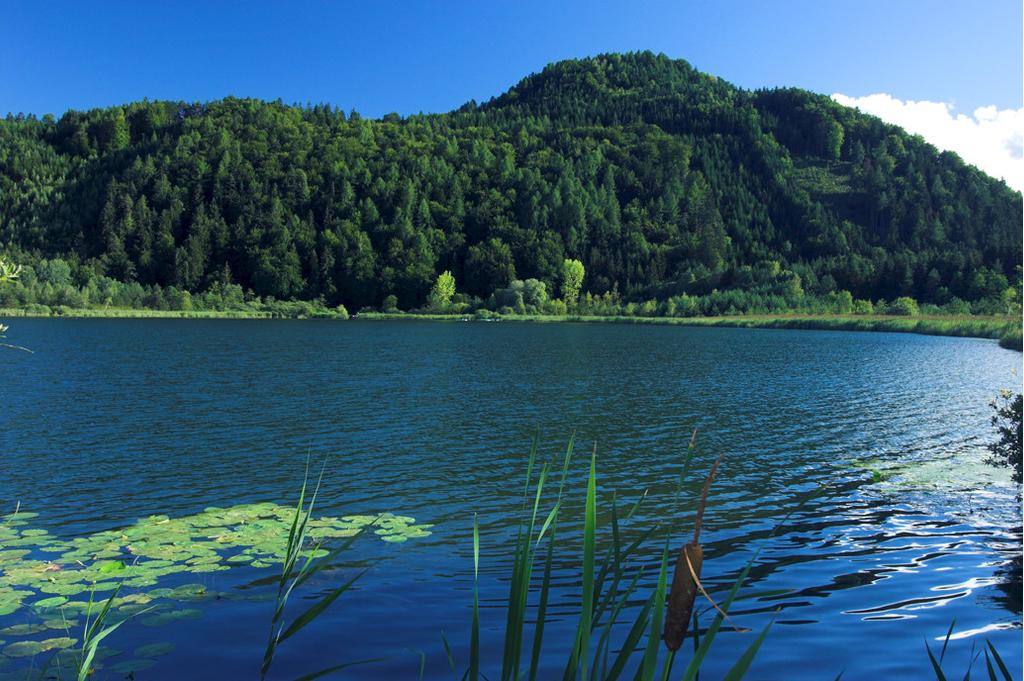 Kleinsee