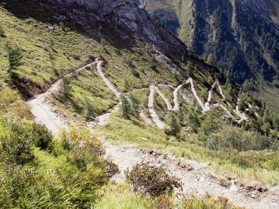 Single_Trail_Tuxerjoch_Weg.jpg