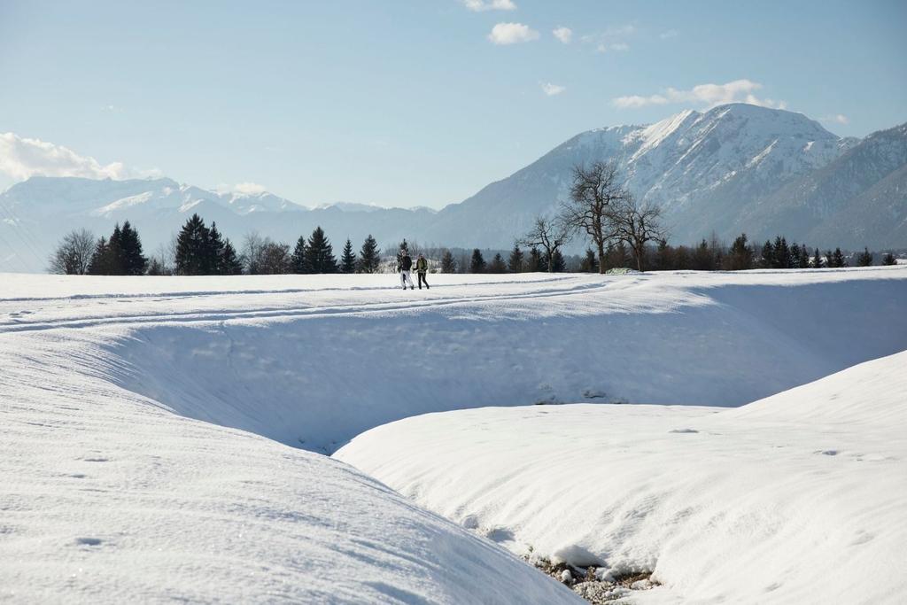 Winterwandern Winter Schnee