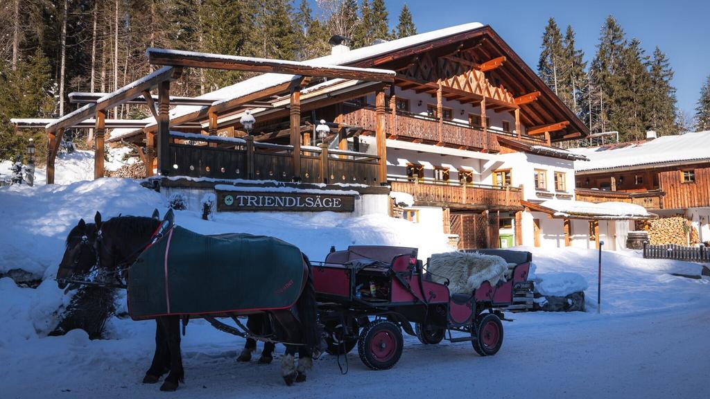 Triendlsäge im Winter - Gebäude mit Pferdekutsche.jpg