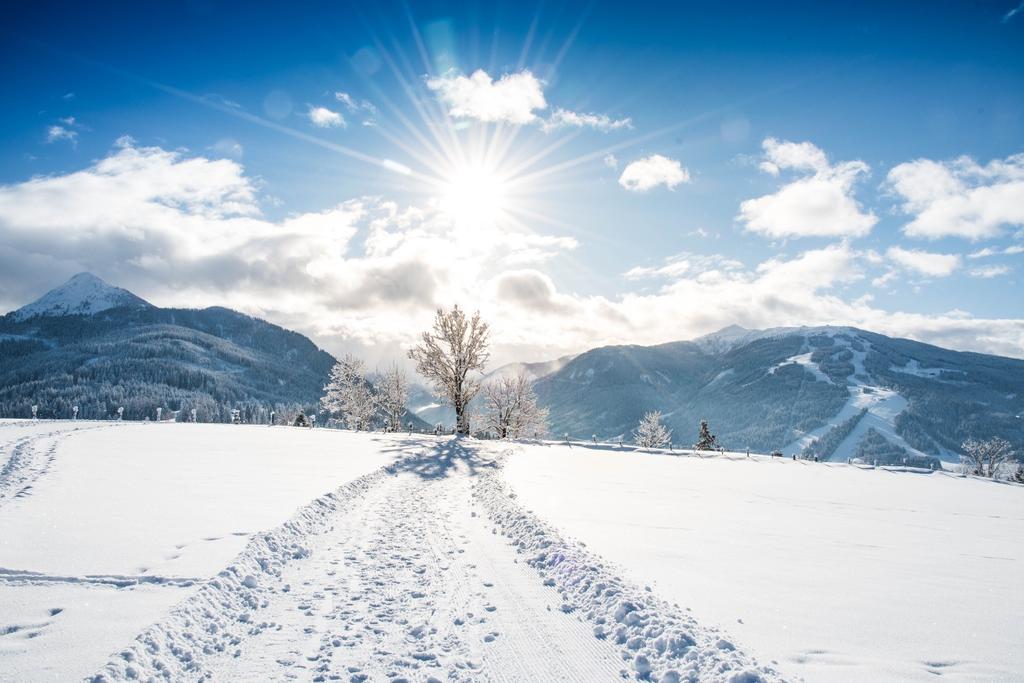 Blick auf den Lackenkogel und das Skigebiet