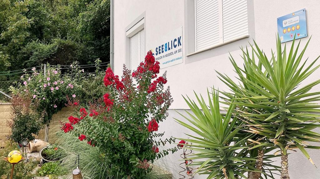 pension seeblick neu 3