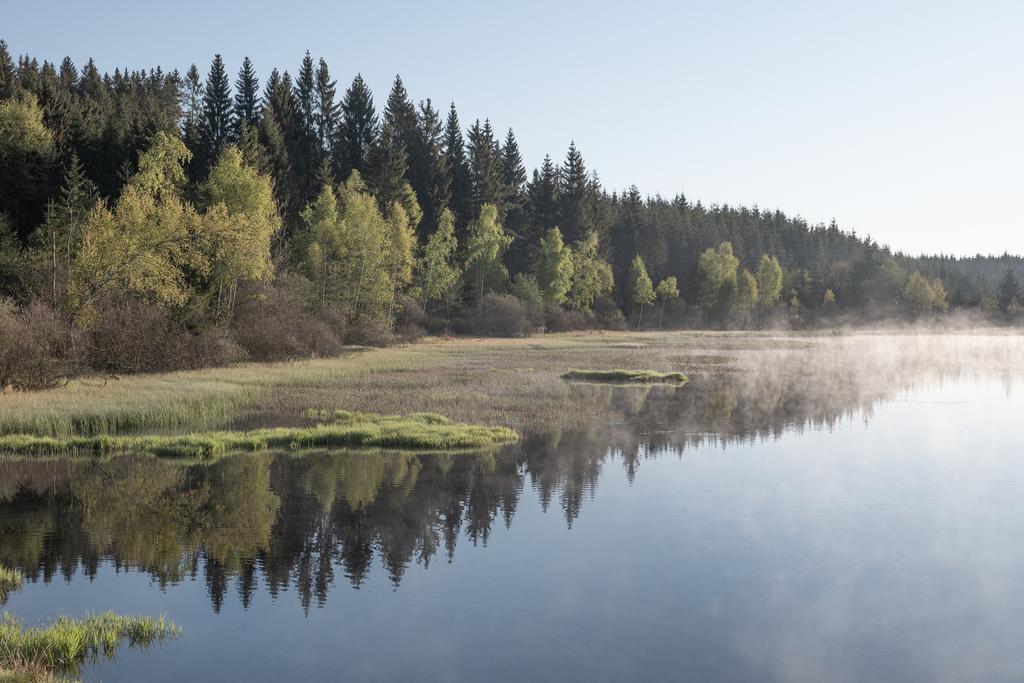 MuehlviertelLiebenauTannermoorRubnerteichWaldWasser_OberoesterreichTourismusGmbHMartinFickert.jpg