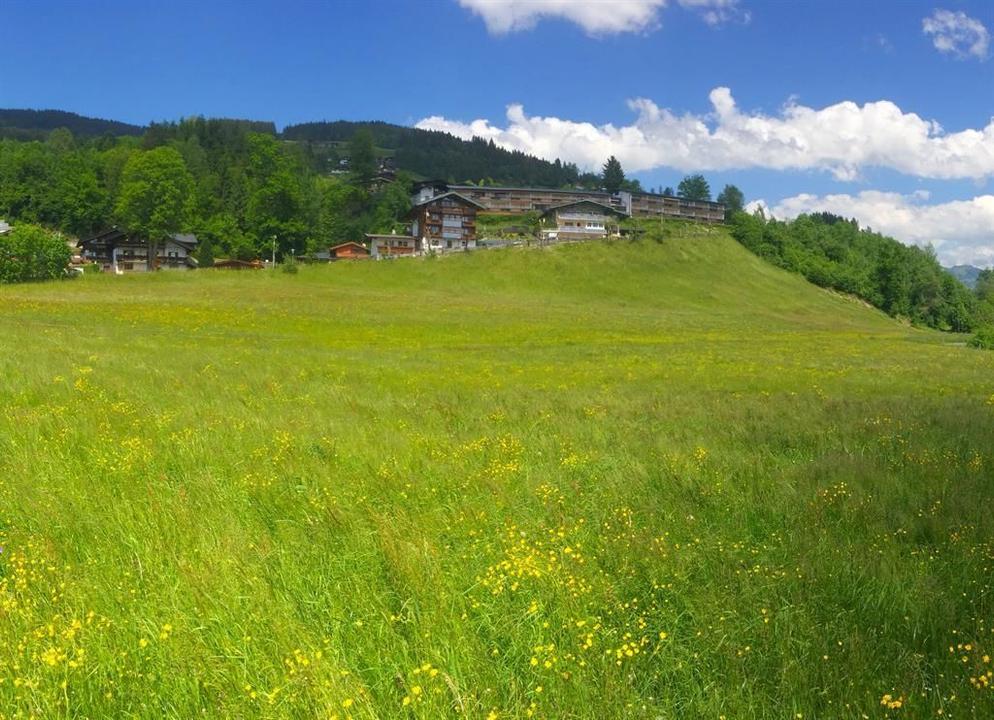 Apartment-Ferienhaus Weinberg